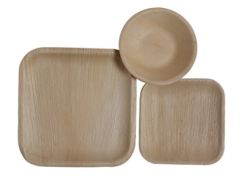 Table To Go 75-Piece Palm Leaf Square Dinnerware Set