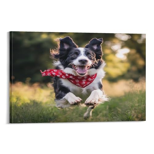 Cadre Border Collie toile murale pour égayer un bureau ou une cuisine