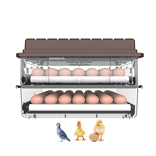 Incubadora de huevos totalmente automática, con giro de huevos totalmente automático y control de humedad, incubadora de huevos digital totalmente automática, fuente de alimentación dual, para pollos,