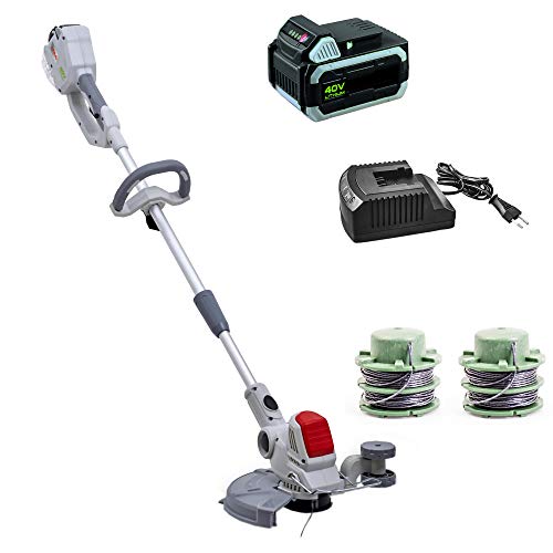 Akku Rasentrimmer IAT 40-3025 LI 40V inkl. Akku, Ladegerät & 2 Fadenspulen