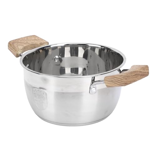 Olla de Acero Inoxidable, Olla de Sopa de Gran Capacidad con Tapa de Vidrio, Compatible con Cocina de Inducción de Gas, para Cocción a Fuego Lento, Cocción Diaria (20 centímetros)