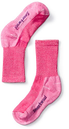 Smartwool Kids' Hiking Crew Socks - Lightly Cushioned Merino Wool Performance Socks POTION