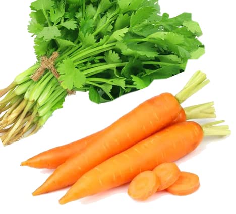 Bundle Vegetable Seeds for Planting: Cilantro Seeds + Carrot Seeds