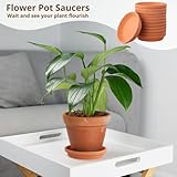 Zoom IMG-1 lnrueg 12 sottovasi in terracotta