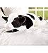 Cuddly Cow Body Pillow, Black and White, 48