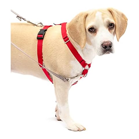 PetSafe Sure-Fit Harness with Five Adjustments Cover