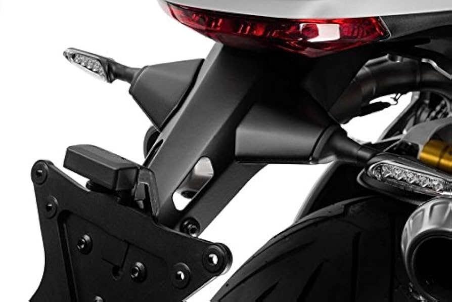 DUCATI MONSTER 937 アンダーシートナンバープレートホルダー fenderelim.png