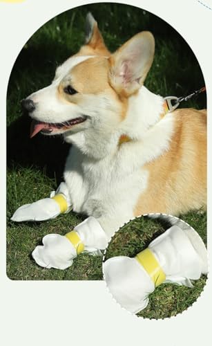 Protection des pattes pour chat et chien convalescent : lot de 20 bottes YAODHAOD - 6