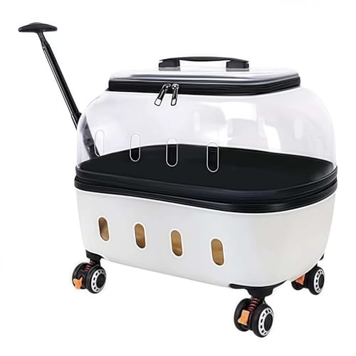 Sac de transport pour chats : voyagez enfin sans stress