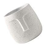 Donnez à votre tête aérienne des cheveux en plaçant simplement votre plante aérienne dans le bol sur la tête, trouvez une maison pour qu'elle soit exposée et que vous êtes prêt