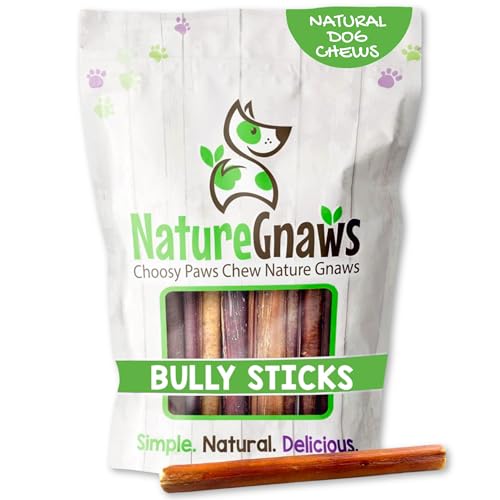 Image of Nature Gnaws Small Bully Sticks for Dogs 5-6 inch (15 Count) - Long Lasting for Light Chewers and Puppies - Natural Thin Beef Dog Chew Bones - Rawhide Free