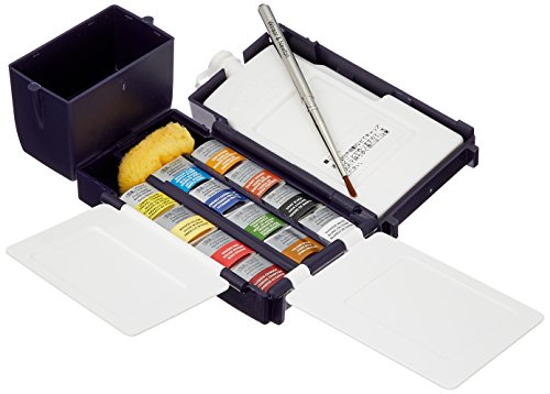 Winsor & Newton Acuarela profesional, Set de campo tamaño bolsillo, 12 medio godets de acuarela profesional, colores surtidos, para acuarelistas y pintura en acuarela