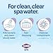 Clorox® Pool&Spa™ Spa Water All-in-One Sanitizer & Shock, Destroys Contaminants, Clears Cloudy Water, 2LB (Pack of 1)
