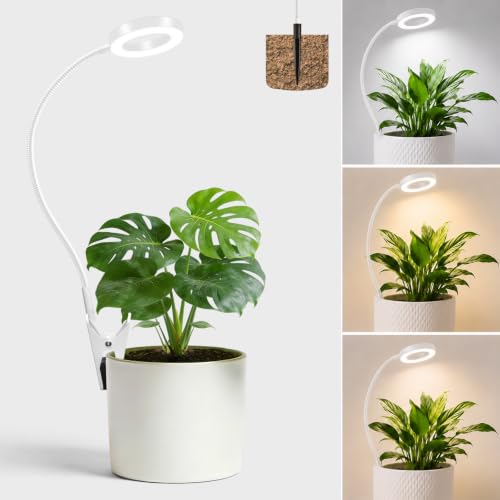 LORDEM Grow Lights for Indoor Plants, 2 in 1 Full Spectrum Plant Light with 360° Gooseneck, 48 LEDs, Auto Timer 6/8/12/16H, 3 Lighting Modes,5 Brightness Levels for Small Plants, 1 Pack White