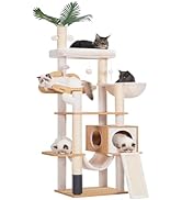 Heybly Holz Kratzbaum, für Indoor-Katzen, Katze Condo für große Katzen mit selbst Groomer, Modern...