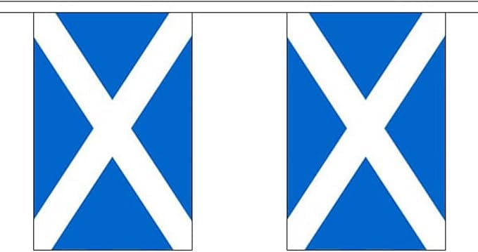 Flagtex St Andrews (Light Blue) Fabric Bunting – 9m with 30 Flags – Fabric for Indoor & Outdoor Use – String Flags Banners Scotland Scottish Saltire UK British Celtic — image 1