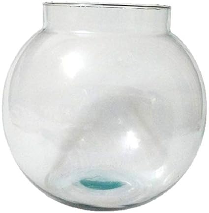 Afast Clear & Transparent Round Glass Fish Pot for Joom View of 8 Inch Table Top-Fb012