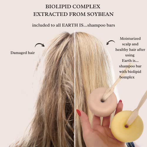 Earth Is... Shampoo Bar - All Hair Types – Mild Natural Shampoo – Eco-Friendly – Plastic Free - Ph-Balanced – Vegan – Sulfate Free – Biodegradable – Zero Waste, 3.7 Oz (Berry Blend With Raspberry) #TOP3