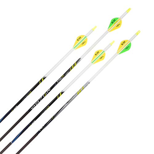 Allen Company Razor RZ3² Premium Archery Carbon Arrows, 30-Inch, 4 Pack, Gray (one Size)
