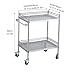 2-Layer Medical Trolley, Lab Rolling Cart, Spacious Beauty Salon Rolling Trolley, Medical Cart with Lockable Universal Wheels, for Home Hospital Office Medical Clinic(One Color-19.7 * 15.7Inch)