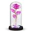 Pink Rose