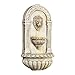 Alpine Corporation TZL160 Indoor/Outdoor Floor Lion Head Wall Fountain with LED Lights, Wall-Mounted Waterfall, 32