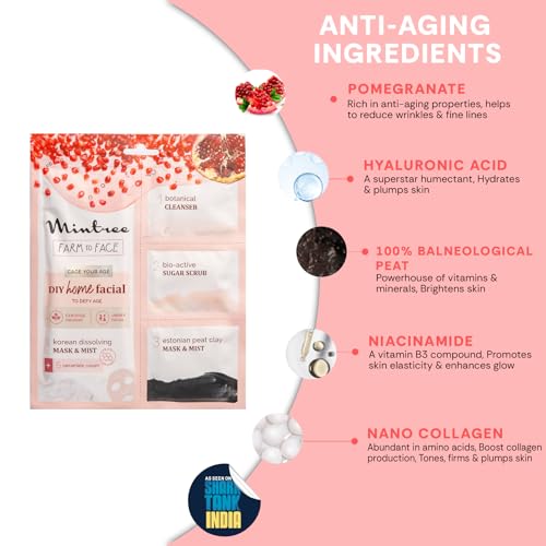 Image of Mintree Organic Pomegranate Brightening at Home Facial Kit for Women with Korean Melting Collagen Film Sheet Mask&Ceramides|DeTan & Anti Aging European Black Mask| Salon Like Glowing Skin-Easy 5 Steps