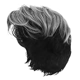 FONDOTIN メンズシルバーグレーウィッグ ショートカーリースタイル 耐熱合成繊維 グラデーションカラー コスプレ パーティー向け自然な外観