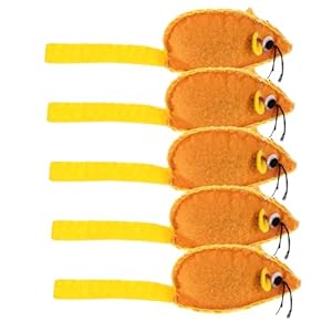 TOYANDONA 5 Stück Spielzeugmäuse für Katzen