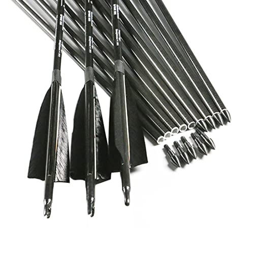 Linkboy Archery Carbon Arrows Hunting Practice Target Arrows Fluorescent with Removable Tip for Compound Recurve Long Bows, Spine 250 300 340 400 500 600 700 800, Pack of 6/12PCS