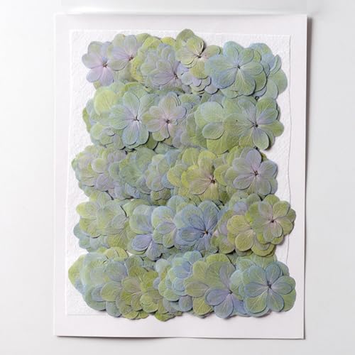 30 flores secas prensadas para manualidades DIY miniatura 2