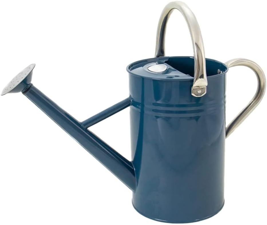 Arrosoir Métal Vintage 1L - Style Anglais, Acier Galvanisé, Pour Plantes D’intérieur Et Balcon