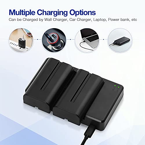 Powerextra 2Pack Replacement Sony Np-F550 Battery And Dual Usb Charger Compatible With Sony Np F970,F930, F750, F570, F550 F530, F330, Ccd-Sc55, Tr910, Tr917, Cn160, Cn-216 Battery Led Light And More #TOP3