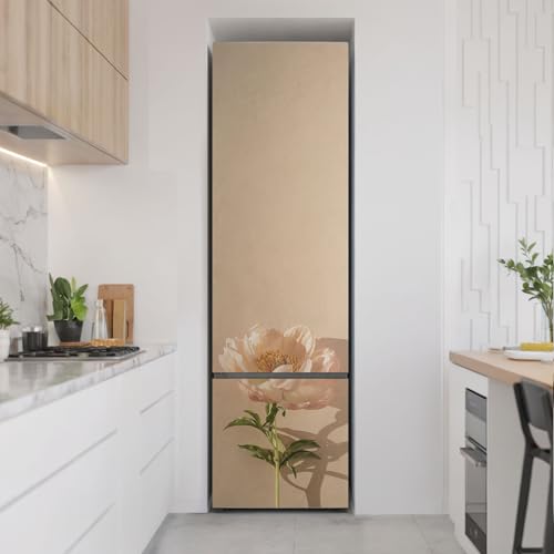 Sticker couvrant entièrement frigo protection dégâts 60x205