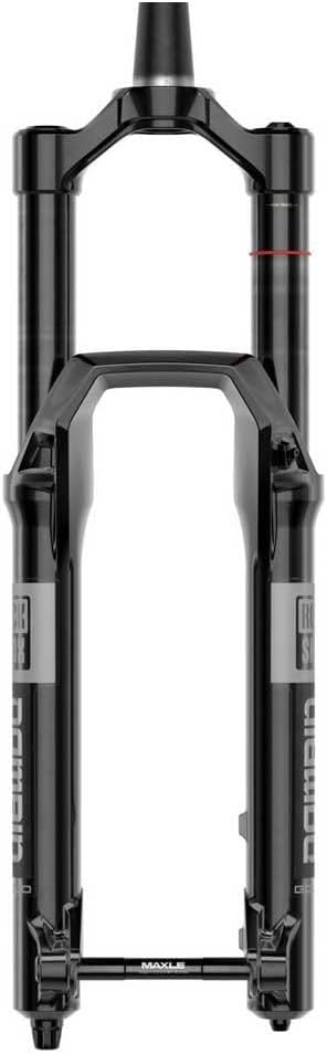 RockShox Domain Gold Isolator RC3 29" Boost Suspension Fork - 180mm Travel, Black, Debonair, Includes Accessories - C1
