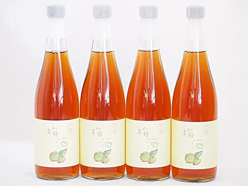 4{Zbg(~𕶑18x(F{)) 720ml×4{