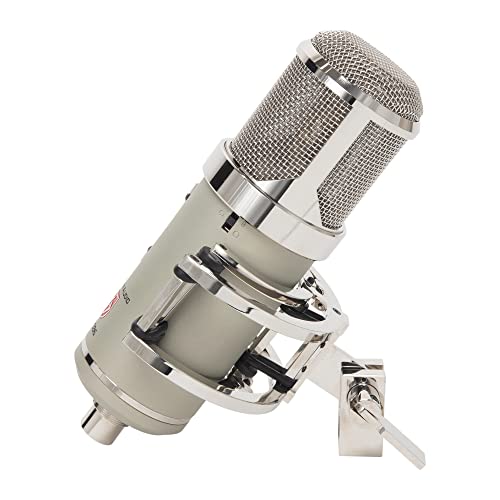 Lauten Audio Eden Lt-386 Large-Diaphragm Condenser Microphone #TOP3