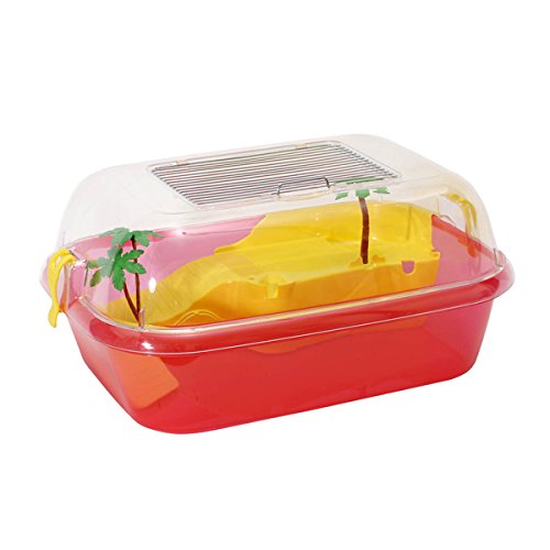  2gr Box Tartarughiera Completa Daffy cm 44 x 34 cm.20, in Plastica, Colori Assortiti