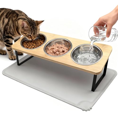 Elevated Cat Bowls with Silicone Mat –...
