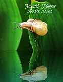 Monthly Planner 2015-2016 (Simple and Elegant Planners)