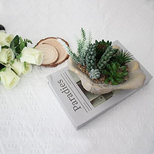 Accessoryway Resin Seashell Bowl Decor with Faux Succulents Coastal Beach Decorations for Home Bathroom Decor Series Home Beach Seashell Decor Theme Party Favors (Without Drainage Hole)… - Image 3