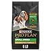 Purina Pro Plan Dry Dog Food, Focus, Adult Small Breed Formula, 6-Pound Bag, Pack of 1