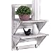 Rose Home Fashion RHF Rustic Shelves Bathroom Shelf Over Toilet Wood Wall Mounted Shelves for Bathroom Floating Shelves Wall Shelves 2 Hooks 2-Tier,Wall Hanging Shelf Organiser Rack (White)