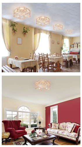 21'' Flush-Mount Ceiling Fan with Dimmable-Light Remote Control, Reversible-Motor, 6 Wind Speeds, Perfect for Bedroom, Living Room, Kitchen, Outdoor Gazebo, Patio, Low-Profile Design Retro Cage - Image 4