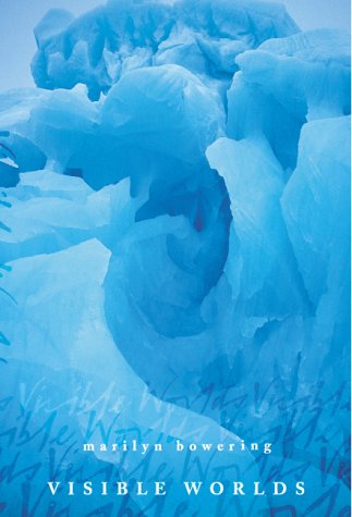 Visible Worlds--A Novel 0006481256 Book Cover