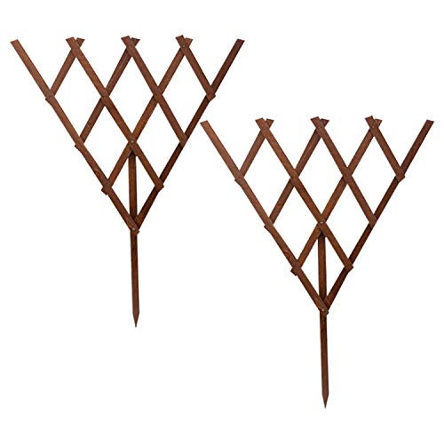 Roots and Shoots Treillis décoratif Extensible 60 x 60 cm Deux Couleurs et Formes Assorties Cover