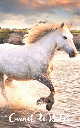 CARNET DE NOTES: Cheval, Original &amp; Fantaisie | Journal Intime à Remplir | Mémo Pratique | 120 pages lignées | 12,7 cm x 20,3 cm | Idée cadeau amoureux des Chevaux .