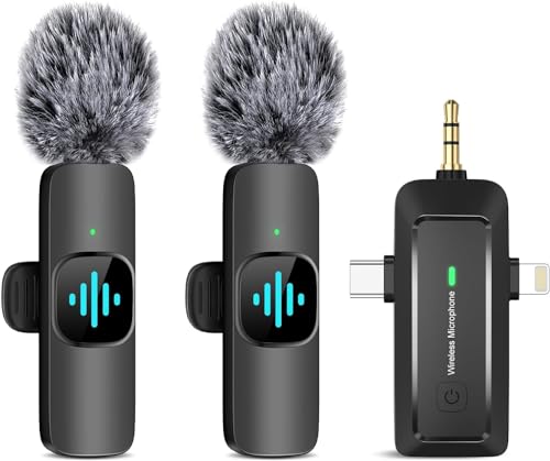 Best cheap camcorder with mic input
