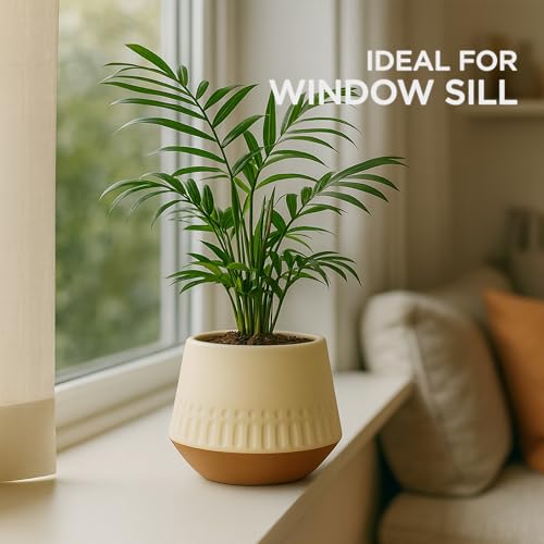 Image of Urban Plant Terracotta Pot - Trendy Planter for Modern Home & Garden Spaces (Majesty Terracotta Pot)