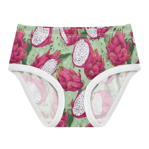 Wusikd Dragon Girls' Underwear Cotton Fruits Girls Briefs Soft Toddler Underwear 2T